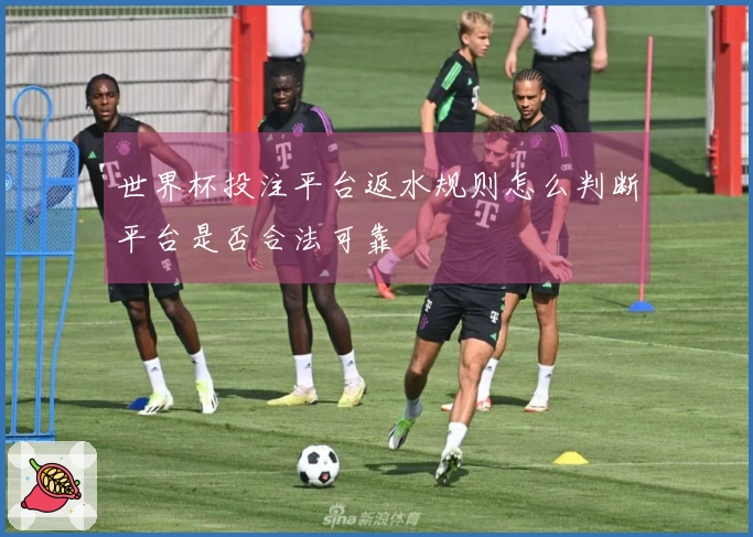 世界杯投注平台返水规则怎么判断平台是否合法可靠